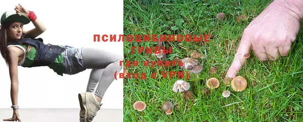 винт Алексеевка