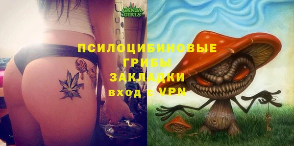 ПСИЛОЦИБИНОВЫЕ ГРИБЫ Алексин