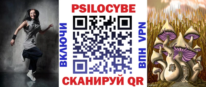 площадка Telegram Дно Псилоцибиновые грибы GOLDEN TEACHER